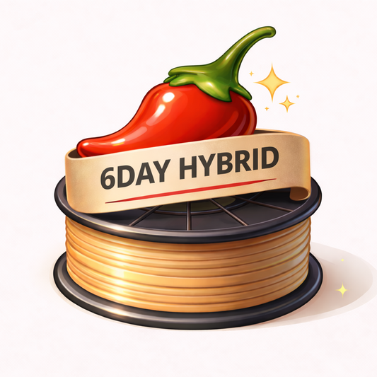 6DAY HYBRID